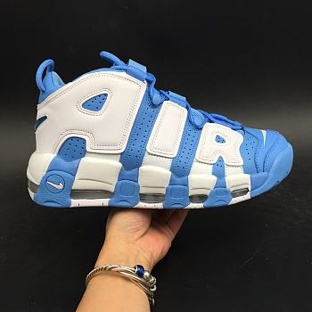 nike uptempo pantone