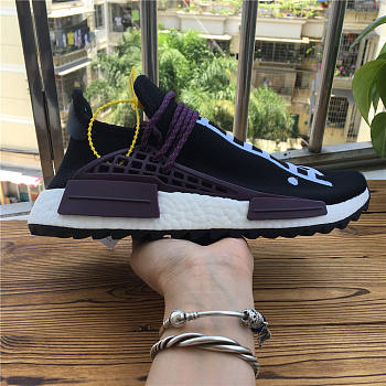 Adidas Human Race NMD Pharrell Holi Festival (Core Black) AC7033