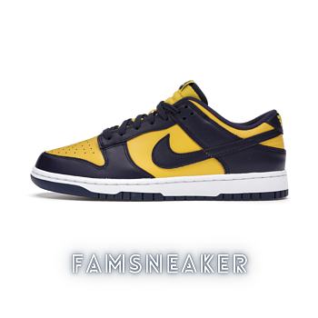 Nike Dunk Low Michigan DD1391-700
