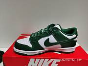 Nike Dunk Low “Team Green” DD1391-10 - 2