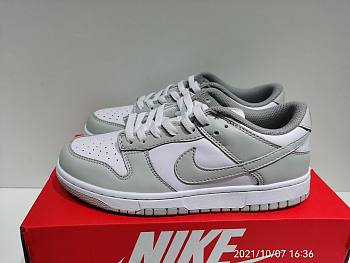 Nike Dunk Low Photon Dust DD1503-103
