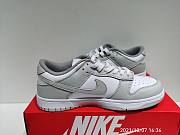 Nike Dunk Low Photon Dust DD1503-103 - 2