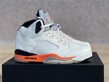 Air Jordan 5 Shattered Backboard DC1060-100