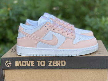 Nike Dunk Low Next Nature Pale Coral (W) DD1873-100