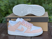 Nike Dunk Low Next Nature Pale Coral (W) DD1873-100 - 2