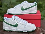 Nike Dunk Low White Green Noise (W) DD1503-112 - 2