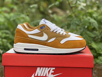 Nike Air Max 1 Curry (2018)  908366-700