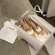 Dior Stubborn Boston Beige - 4