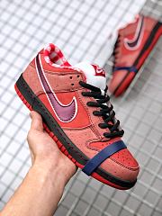Nike SB Dunk low 313170-661 - 2
