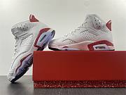 Air Jordan 6 