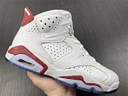 Air Jordan 6 