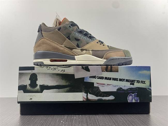Air Jordan 3 “Camo” DO1830-200 - 1
