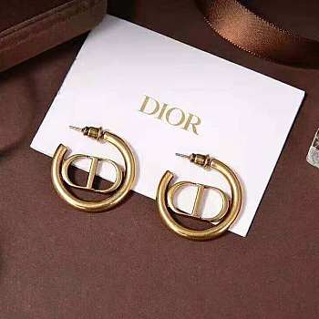 Dior earings 001