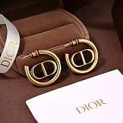 Dior earings 001 - 2