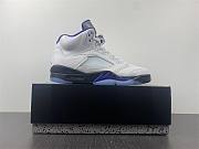 Air Jordan5 CONCORD 012 - 4