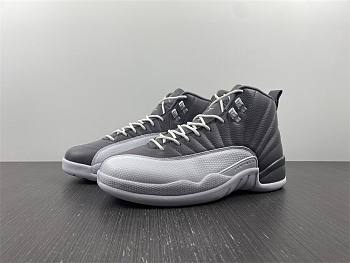 Air Jordan 12 STEALTH Off-White True Standard Item No. CT8025-610