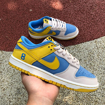 NK244 $170 Nike Dunk Low 