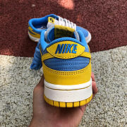 NK244 $170 Nike Dunk Low 