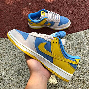 NK244 $170 Nike Dunk Low 