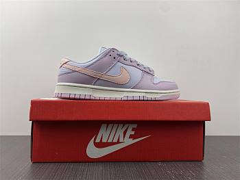Nike SB Dunk New