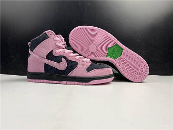 Nike Dunk SB Hi 