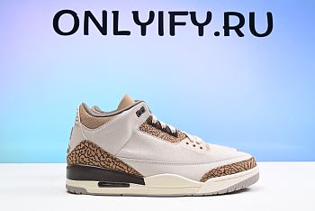 Air Jordan 3 Palomino CT8532-102