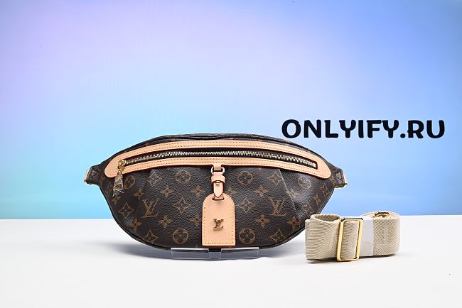 Louis Vuitton High Rise Bumbag Monogram M46784 - 1