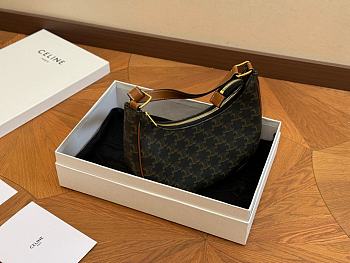 Celine Ava Bag In Triomphe Canvas And Calfskin 23cm