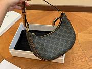 Celine Ava Bag In Triomphe Canvas And Calfskin 23cm - 2
