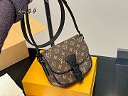 Louis Vuitton Montsouris Messenger PM M47060 20cm x 16cm  - 6