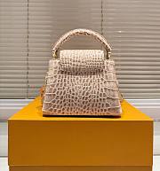 Louis vuitton  Capucines bag 20cm x 13cm - 6