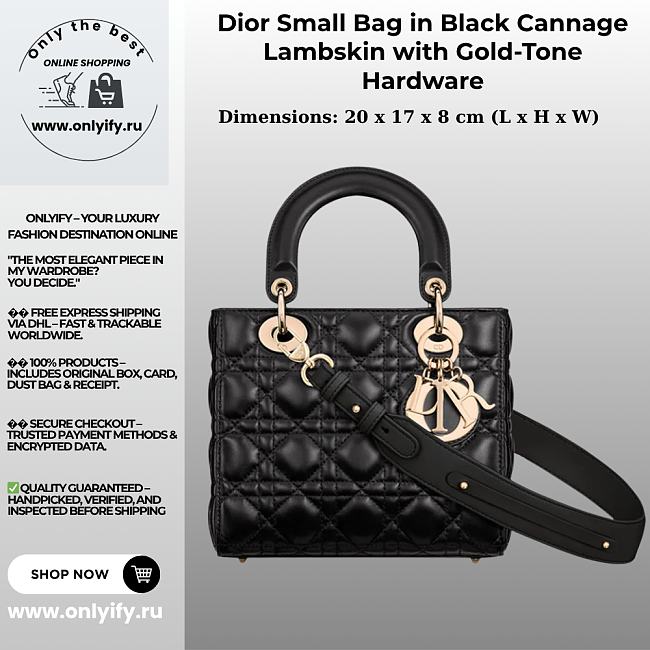 Dior Small Bag in Black Premium leather with Gold-Tone Hardware - 1