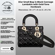 Dior Small Bag in Black Premium leather with Gold-Tone Hardware - 1