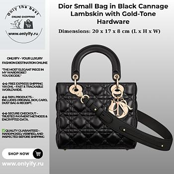 Dior Small Bag in Black Premium leather with Gold-Tone Hardware