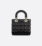 Dior Small Bag in Black Premium leather with Gold-Tone Hardware - 5