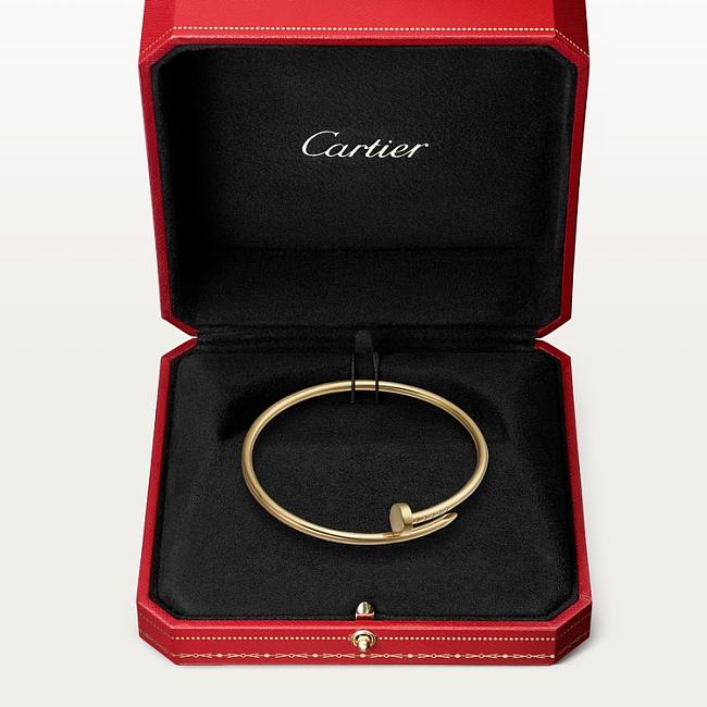 Nail-Inspired Minimalist Bangle – Gold Titanium Finish - 1