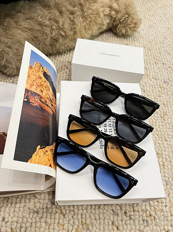 Gentle Monster Classic Acetate Frame Sunglasses – 5 Lens Options