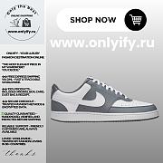 Nike Court Vision Low “White/Smoke Grey” HM9862-003 - 1