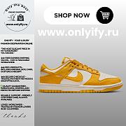 Nike Dunk Low “White/University Gold” IB4417-101 - 1