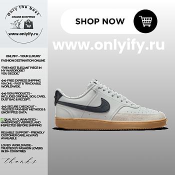 Nike Court Vision Low “Photon Dust/Midnight Navy/Gum” IB2998-003