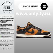 Nike Dunk Low Retro “Black/Amber Brown” HF5441-701 - 1