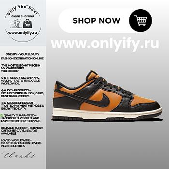 Nike Dunk Low Retro “Black/Amber Brown” HF5441-701