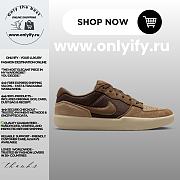 Nike SB Force 58 “Brown/Khaki” DV5477-201 - 1