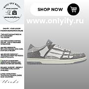 Amiri Crystal Skel-Top Low “Grey” - 1
