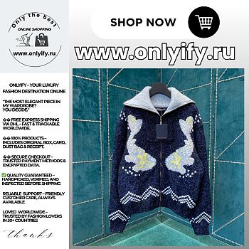 Louis Vuitton Zippered Knitted Blouson – Blue Luxury Ready-to-Wear (1AIMB0)